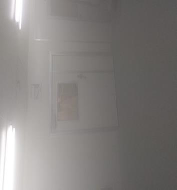 LAB ZIA噴霧除染 Before